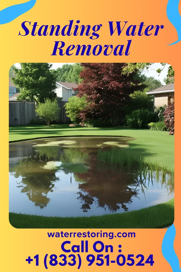 Standing Water Removal in West Hampton Dunes, NY